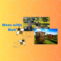Topic image